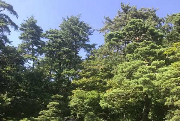 新潟市旧齋藤家別邸の写真・動画_image_635834