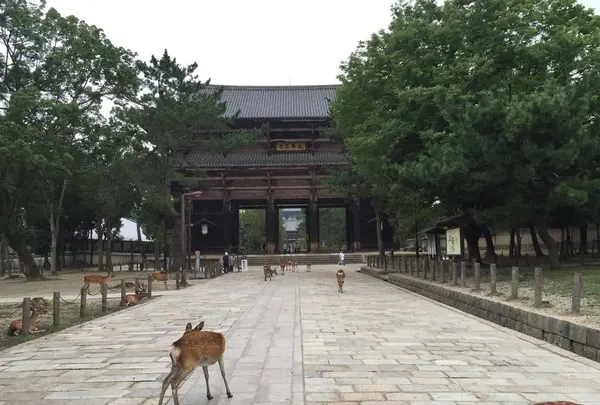 華厳宗東大寺　南大門の写真・動画_image_636319