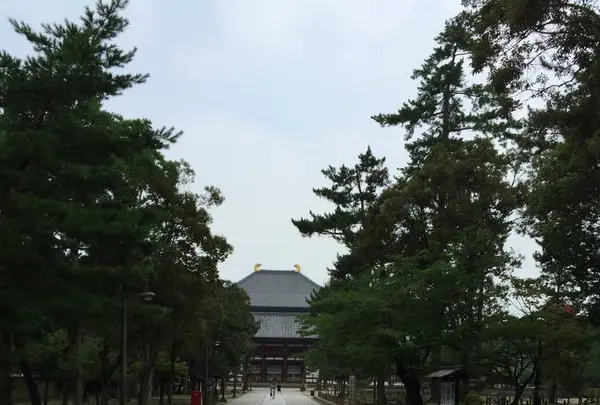 華厳宗東大寺　南大門の写真・動画_image_636320