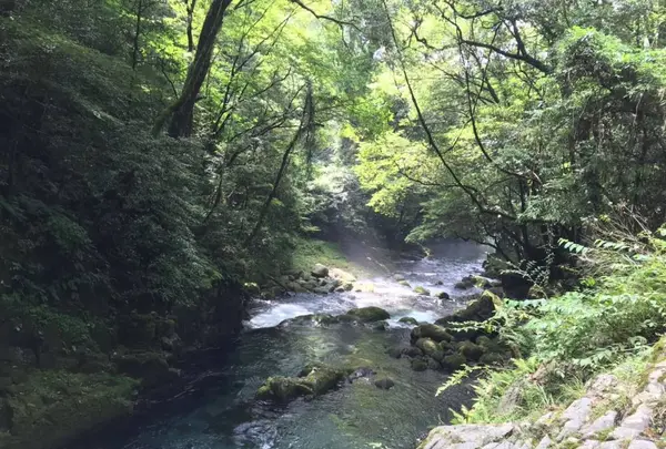 菊池渓谷の写真・動画_image_636610