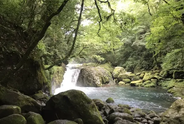 菊池渓谷の写真・動画_image_636612