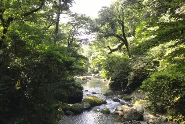 菊池渓谷の写真・動画_image_636613
