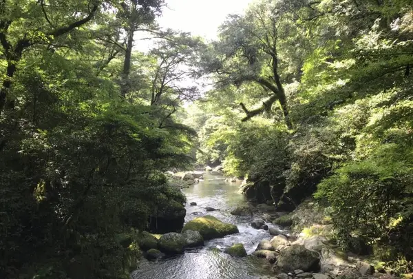菊池渓谷の写真・動画_image_636614