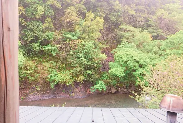 青葉の瀬の写真・動画_image_636622
