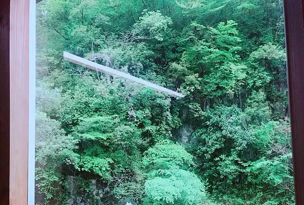 青葉の瀬の写真・動画_image_636623