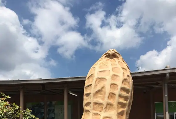 道の駅 木更津うまくたの里の写真・動画_image_636886