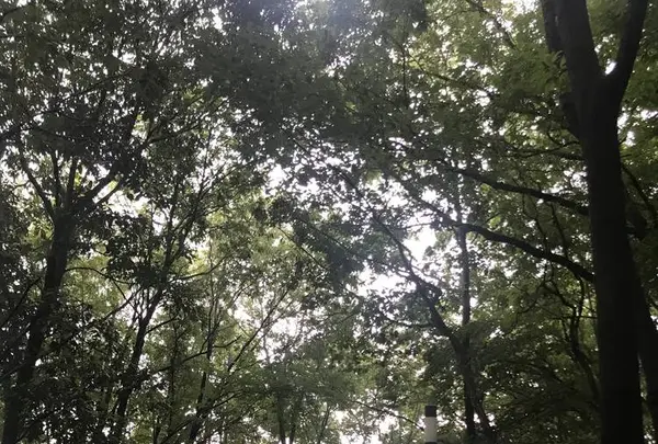 飯高山公園の写真・動画_image_636945