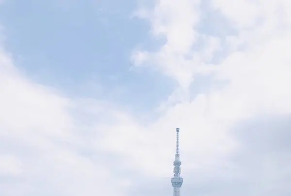 Dandelion Chocolate（ダンデライオンチョコレート）の写真・動画_image_637433