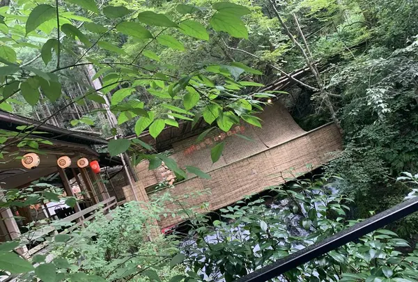 貴船 兵衛の写真・動画_image_637615