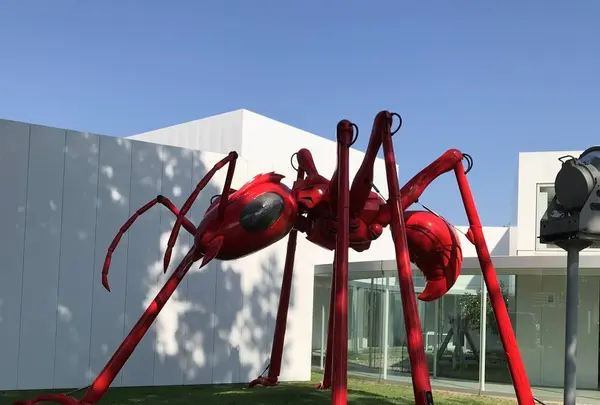 十和田市現代美術館の写真・動画_image_637664