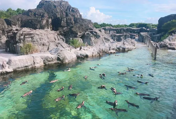 葛西臨海水族園の写真・動画_image_638914