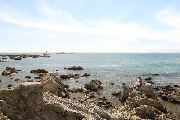 森戸海岸の写真・動画_image_638927