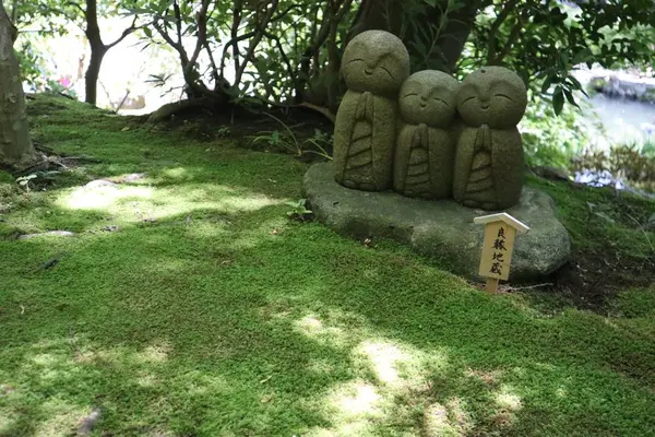 長谷寺の写真・動画_image_638964