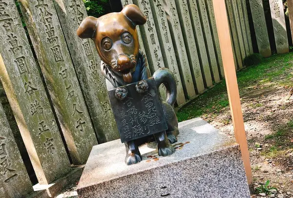 金刀比羅宮（こんぴらさん）の写真・動画_image_639565