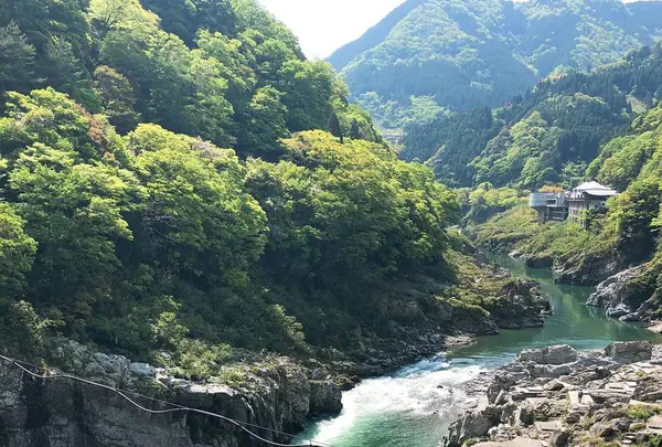 大歩危峡の写真・動画_image_639571