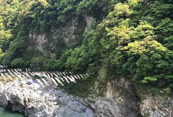 大歩危峡の写真・動画_image_639572