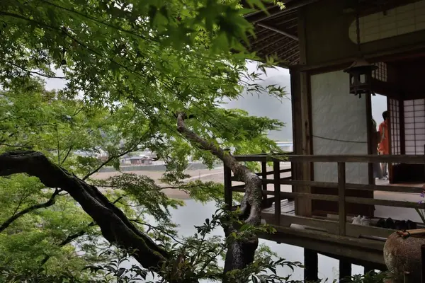 臥龍山荘の写真・動画_image_639577