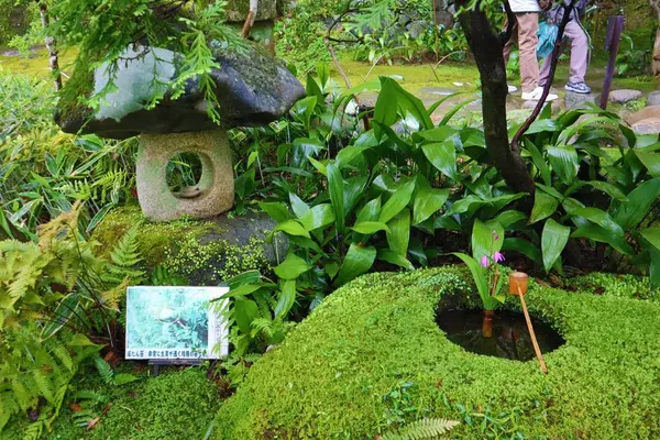 臥龍山荘の写真・動画_image_639578