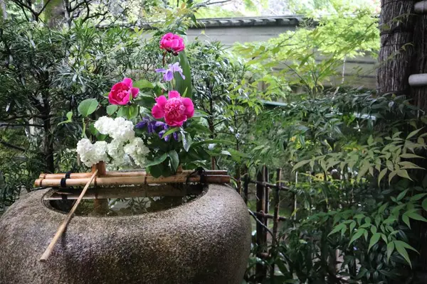 臥龍山荘の写真・動画_image_639579
