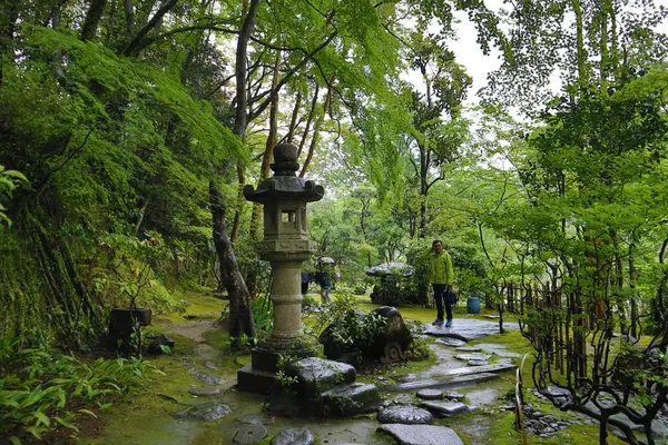 臥龍山荘の写真・動画_image_639580