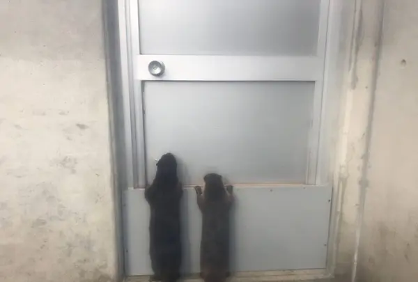 【閉業】京急油壺マリンパークの写真・動画_image_639601