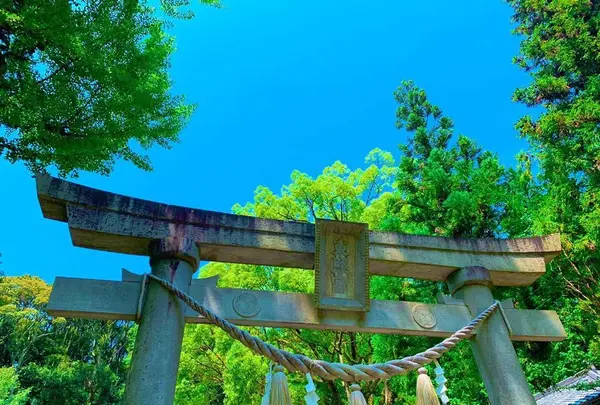 松平東照宮の写真・動画_image_639927