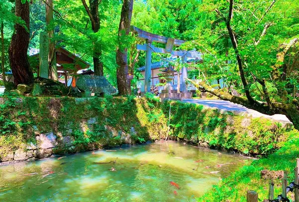 松平東照宮の写真・動画_image_639929
