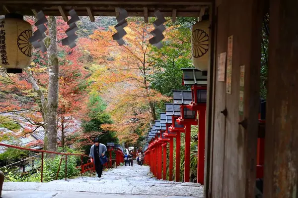 貴船神社の写真・動画_image_640553