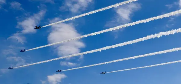 航空自衛隊入間基地の写真・動画_image_640563