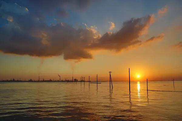 江川海岸の写真・動画_image_640565