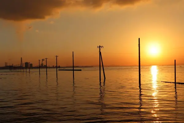 江川海岸の写真・動画_image_640567
