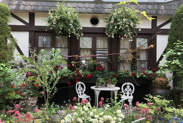 神戸布引ハーブ園／ロープウェイ中腹駅の写真・動画_image_641029