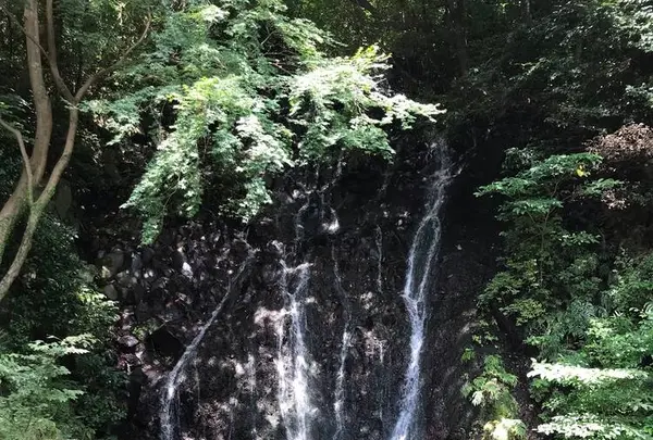 天成園の写真・動画_image_641927