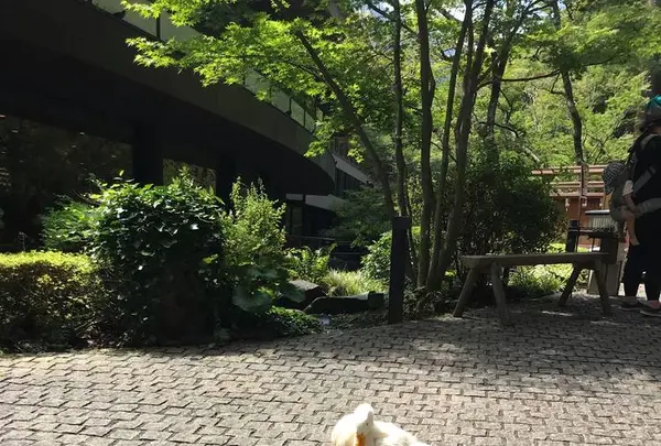 天成園の写真・動画_image_641928