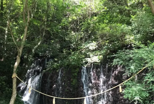 天成園の写真・動画_image_641929