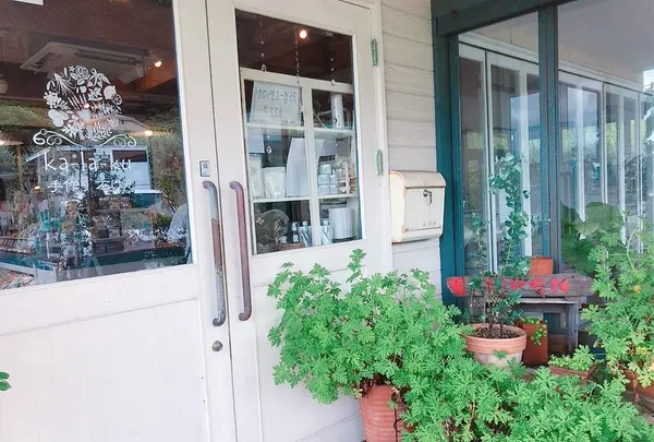 暇楽の写真・動画_image_642273