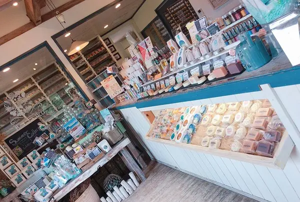 暇楽の写真・動画_image_642275