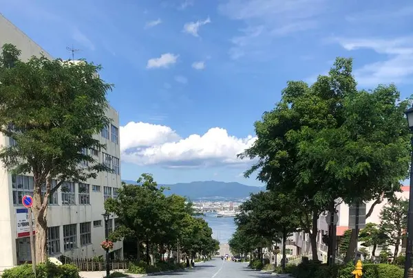 八幡坂の写真・動画_image_642448