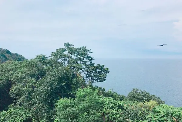 芥屋の大門公園の写真・動画_image_642674