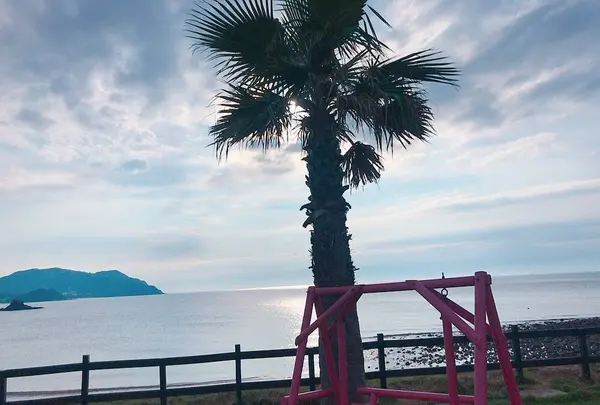 パームビーチ・ザ・ガーデンズ（PALM BEACH THE GARDENS）の写真・動画_image_642913