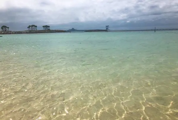 エメラルドビーチの写真・動画_image_643838