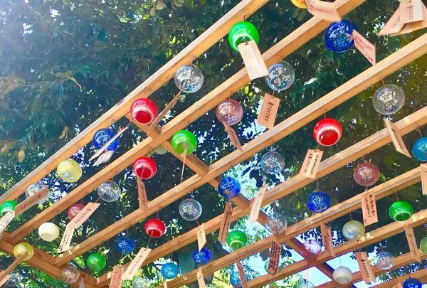 川越氷川神社の写真・動画_image_643916