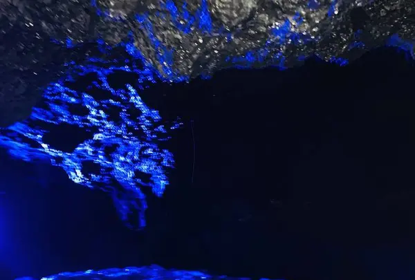 鳴沢氷穴の写真・動画_image_644230