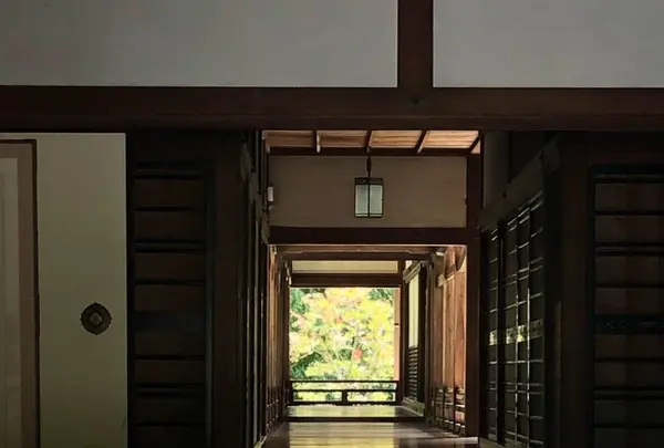 長谷寺の写真・動画_image_644962