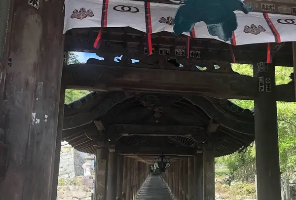 長谷寺の写真・動画_image_644963