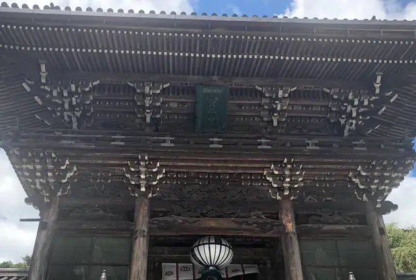 長谷寺の写真・動画_image_644964