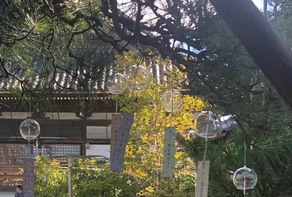 おふさ観音の写真・動画_image_644974