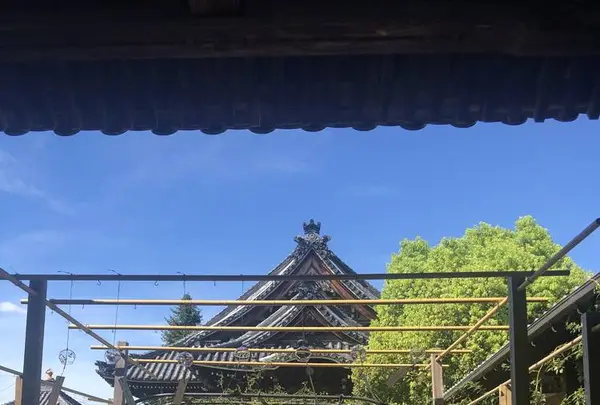 おふさ観音の写真・動画_image_644976
