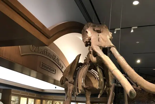 琵琶湖博物館の写真・動画_image_645542