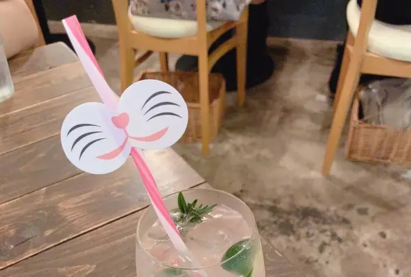 サカノウエカフェの写真・動画_image_647405
